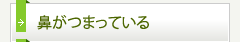 鼻がつまっている